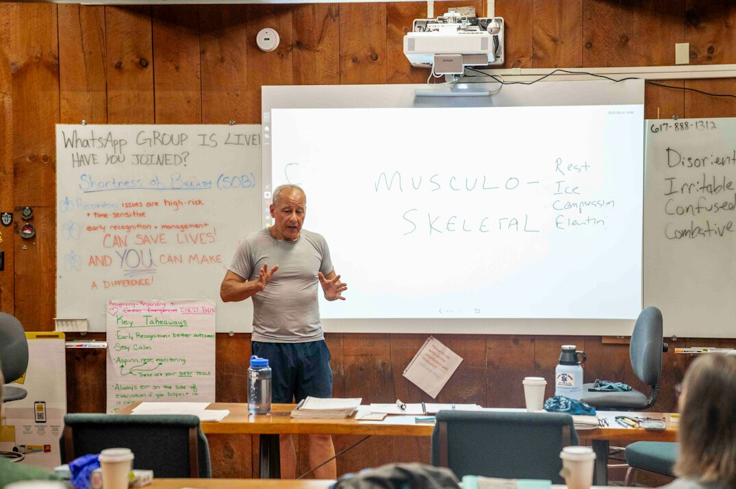 mentor teaching it course